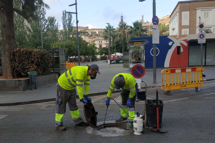 El departamento de Sanidad continúa  con la campaña de desratización y desinsectación