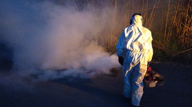 La delegación de Sanidad y Consumo consigue la aprobación del plan de tratamiento aéreo para el control de mosquitos