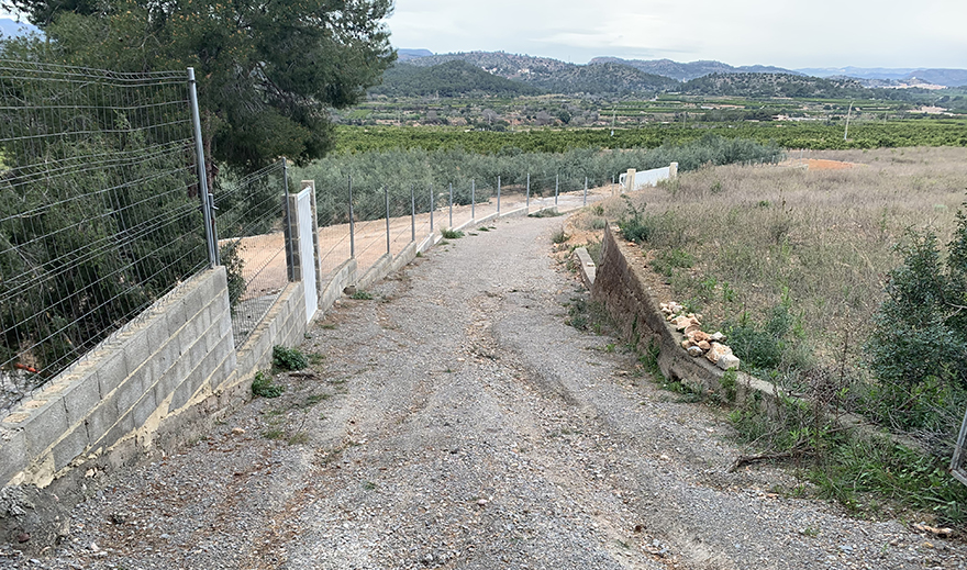 El Consell Local Agrari adjudica a la empresa Pavasal el servicio de mantenimiento y reparación de los caminos rurales de Sagunto