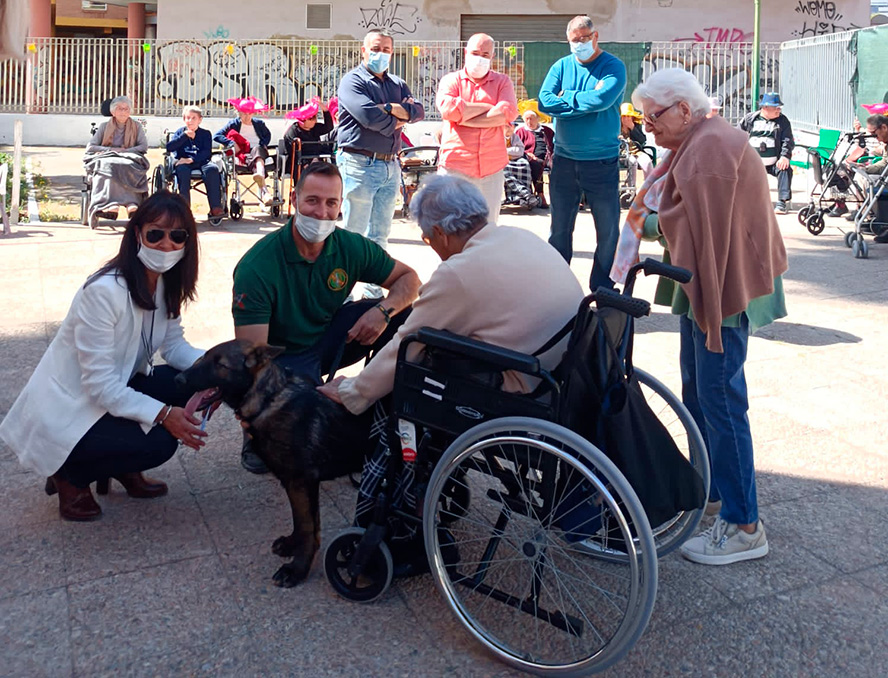 La segunda jornada del contrato de recogida de animales se ha desarrollado en la residencia 3ª edad de Puerto de Sagunto