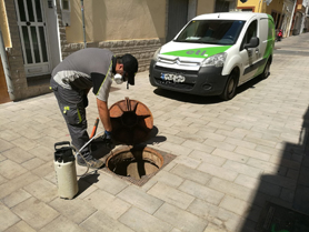 Sanidad continúa con los tratamientos contra plagas