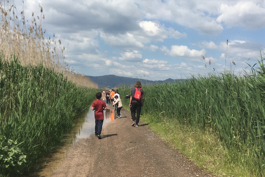 Abierto el plazo de solicitud para colegios e institutos para visitar La Casa Penya y conocer la importancia de conservar el Marjal de Almardà-Almenara