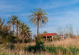 El centro ambiental de la Casa Peña retoma la actividad de visitas guiadas