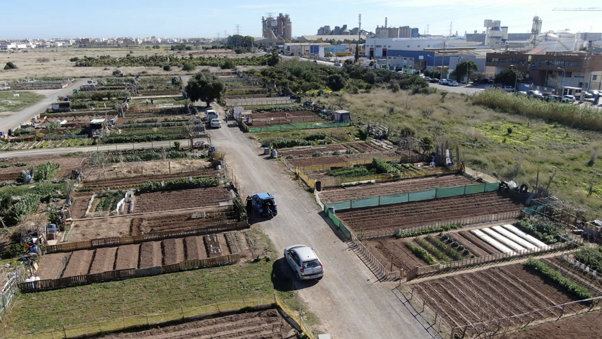 El Consell Agrari abre la convocatoria para la concesión demanial de 62 huertos urbanos