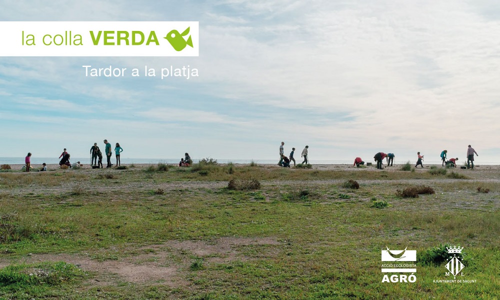 La Colla Verda anima a la ciudadanía a pintar de verde la playa del Pantalán