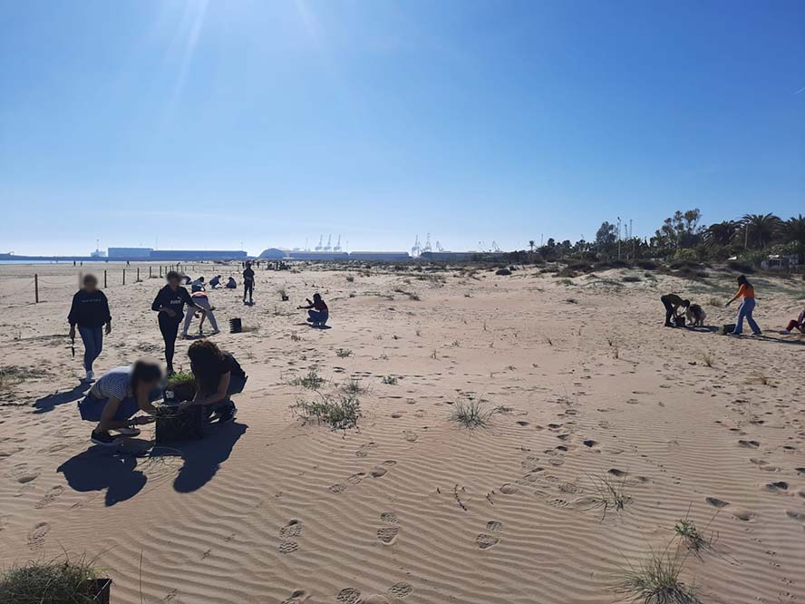 El proyecto 'Participa!' finaliza con la cooperación de 400 estudiantes