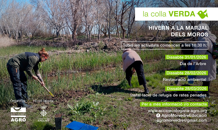 La Marjal dels Moros acogerá tres voluntariados organizados por la Colla Verda