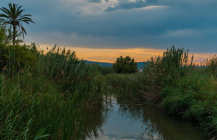 Acció Ecologista Agró organiza un fin de semana con actividades en la naturaleza para toda la familia