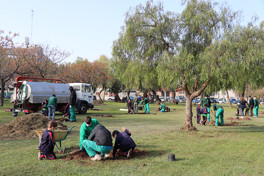 El Colegio San Pedro y el Ciclo Formativo de Conservación del Medio Natural han trabajado conjuntamente en la plantación de árboles en la ciudad