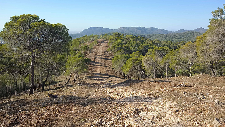 El Ayuntamiento de Sagunto amplía un cortafuegos en Bonilles