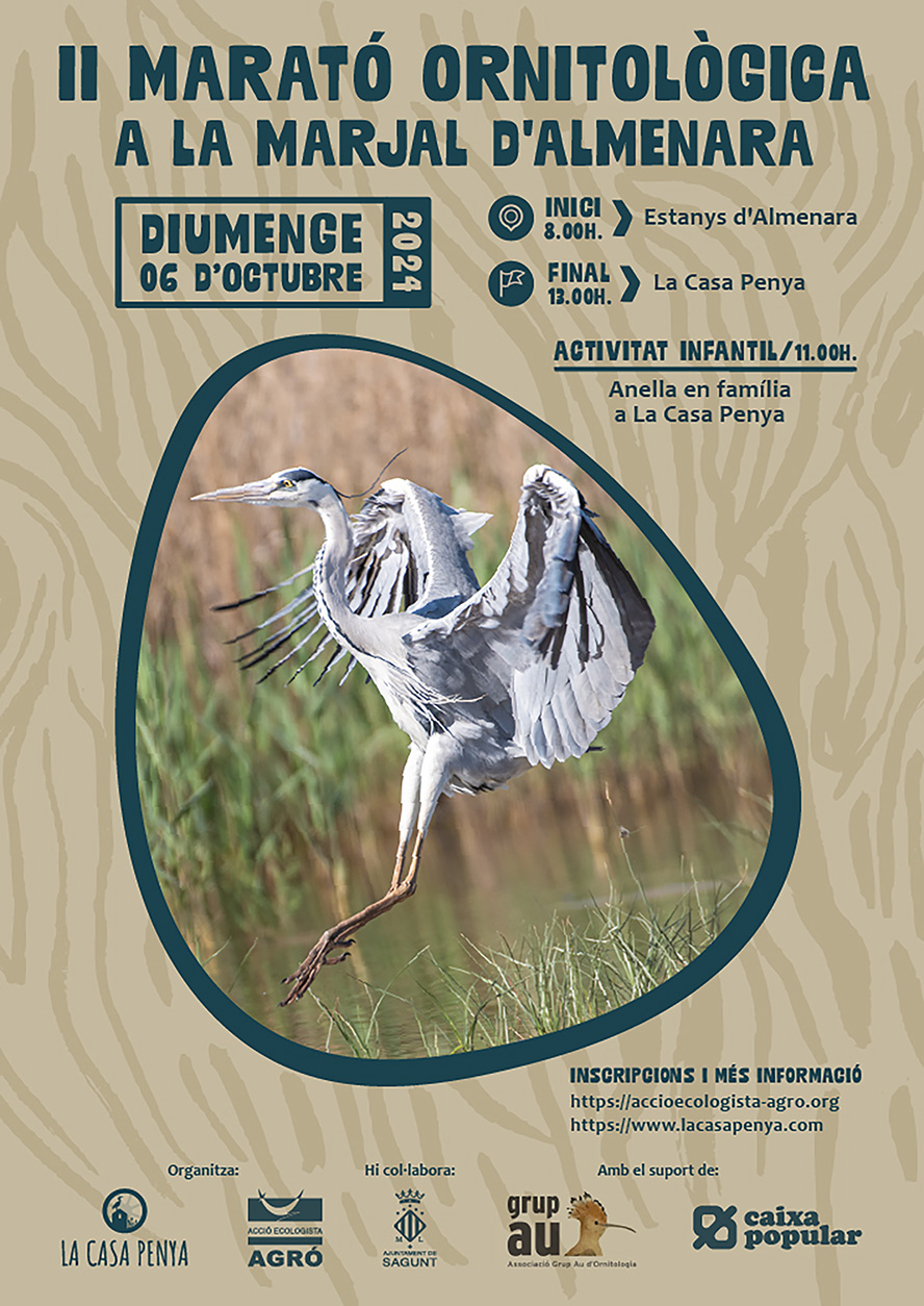 Acció Ecologista-Agró organiza el II Maratón ornitológico del marjal de Almardá-Almenara