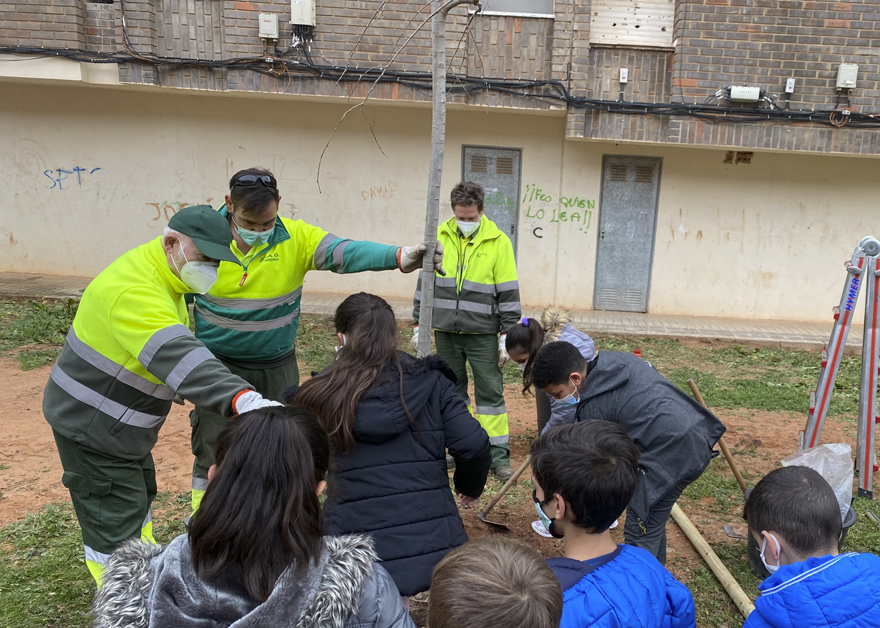 La SAG planta árboles en la plaza Echegaray con la implicación del alumnado del CEIP Baladre