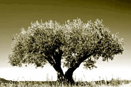 Sagunt a Escena 2016. OFF ROMÀ oferirà el dijous “Visitants Olea” una peça breu de teatre pirotècnic