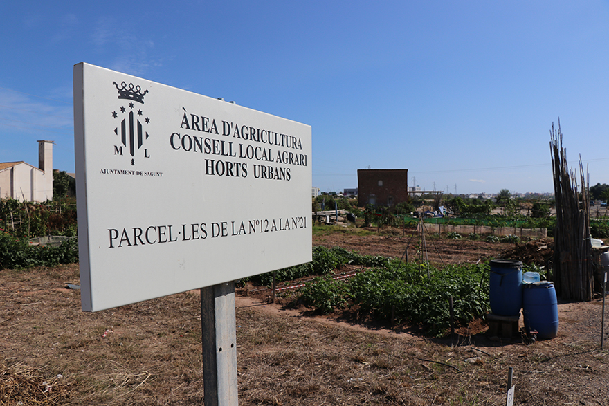 El Consell Agrari abre convocatoria para la concesión demanial de 58 huertos urbanos hasta el 28 de octubre