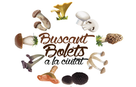 Sagunto presenta la 20 edición de las Jornadas Micológicas incluyendo la ruta gastronómica “Buscant bolets a la ciutat”