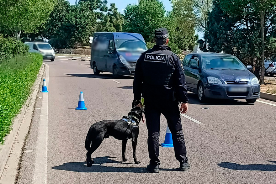 La Unidad Canina de la Policía Local de Sagunto realiza un gran trabajo en la prevención del consumo de estupefacientes