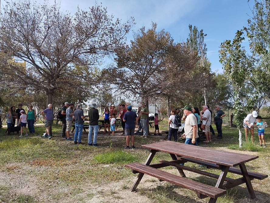 La Casa Penya despide el 2024 con un taller para investigar qué tesoros naturales esconde la marjal