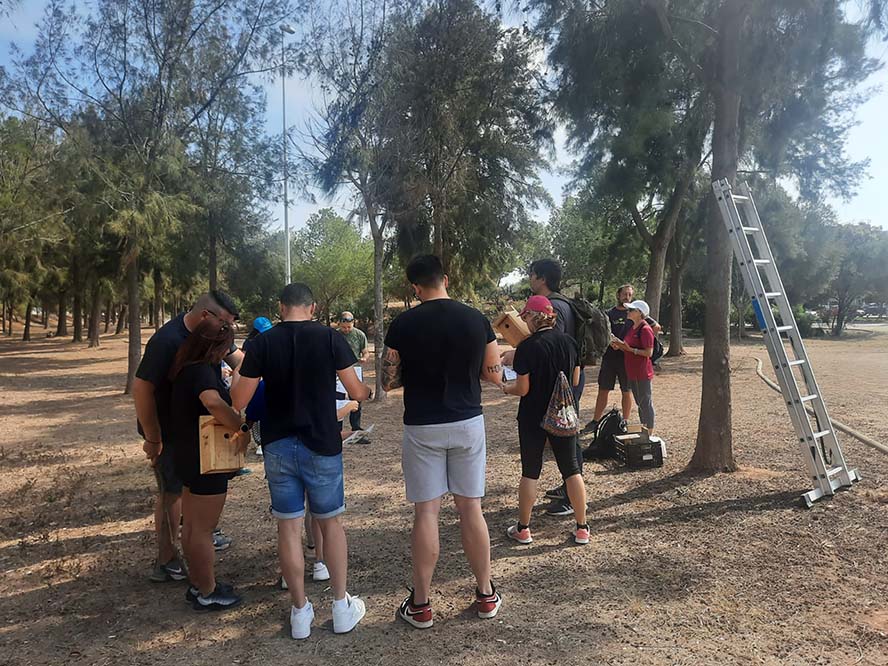 La Colla Verda instala hoteles para insectos y cajas nidos en parques de Sagunto