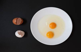 El grupo fotográfico ARSE inaugura el jueves la exposición ‘Diversitat i respecte’