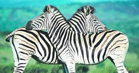 Taller de cuentos africanos, en la Biblioteca Cronista Chabret de Sagunto