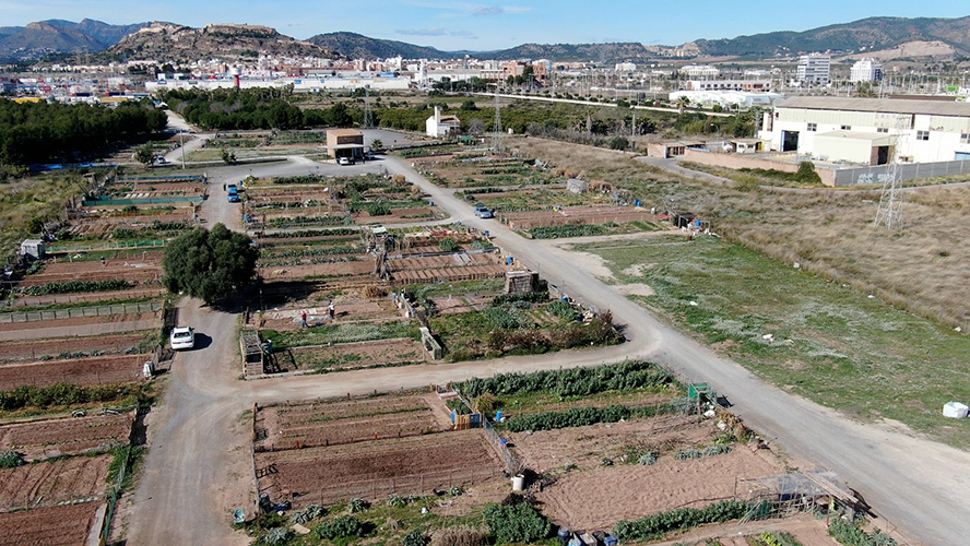 Obert el termini de la convocatòria d'adjudicació de parcel·les en horts urbans