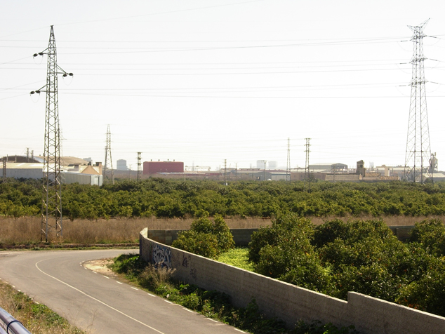 El grupo socialista llevará al pleno una moción en defensa de la agricultura valenciana y el veto a los cítricos sudafricanos 