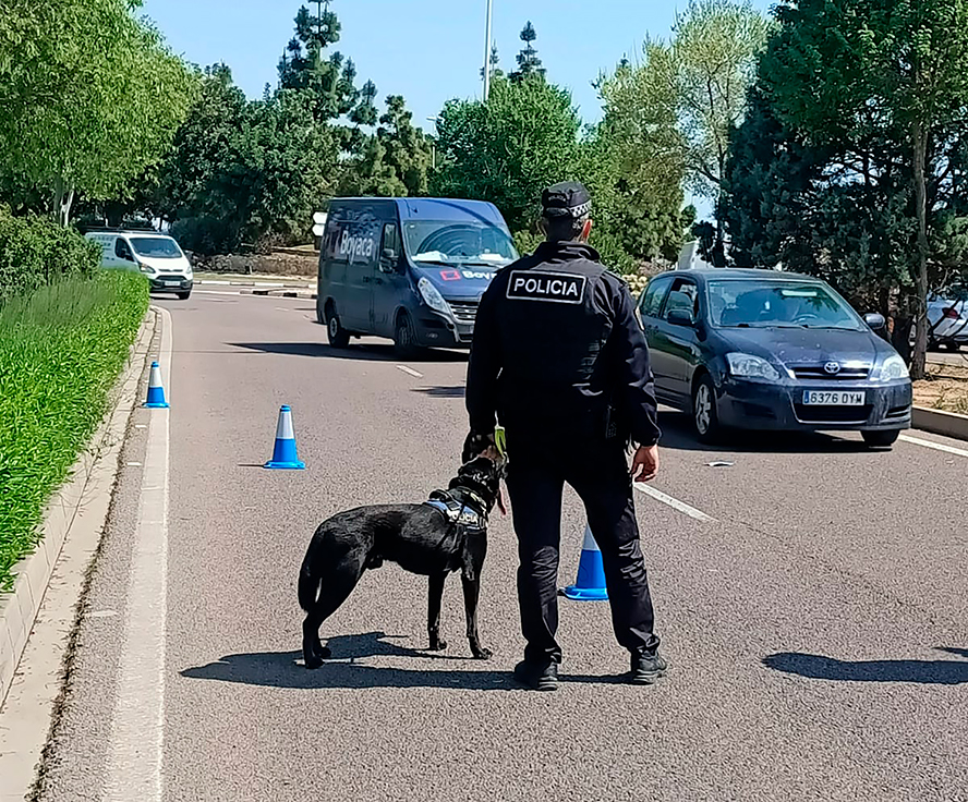 La Unidad Canina de la Policía Local de Sagunto interpone 73 denuncias relacionadas con drogas ilegales en 2025
