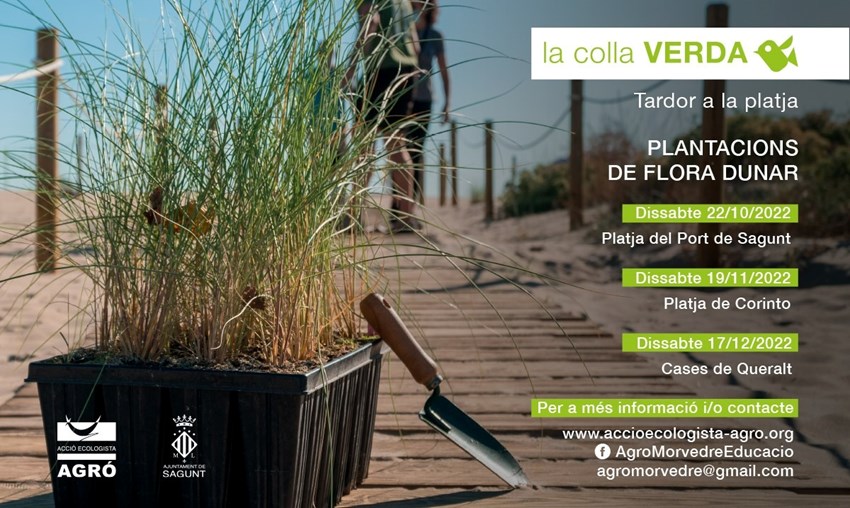 Cartell de l'activitat