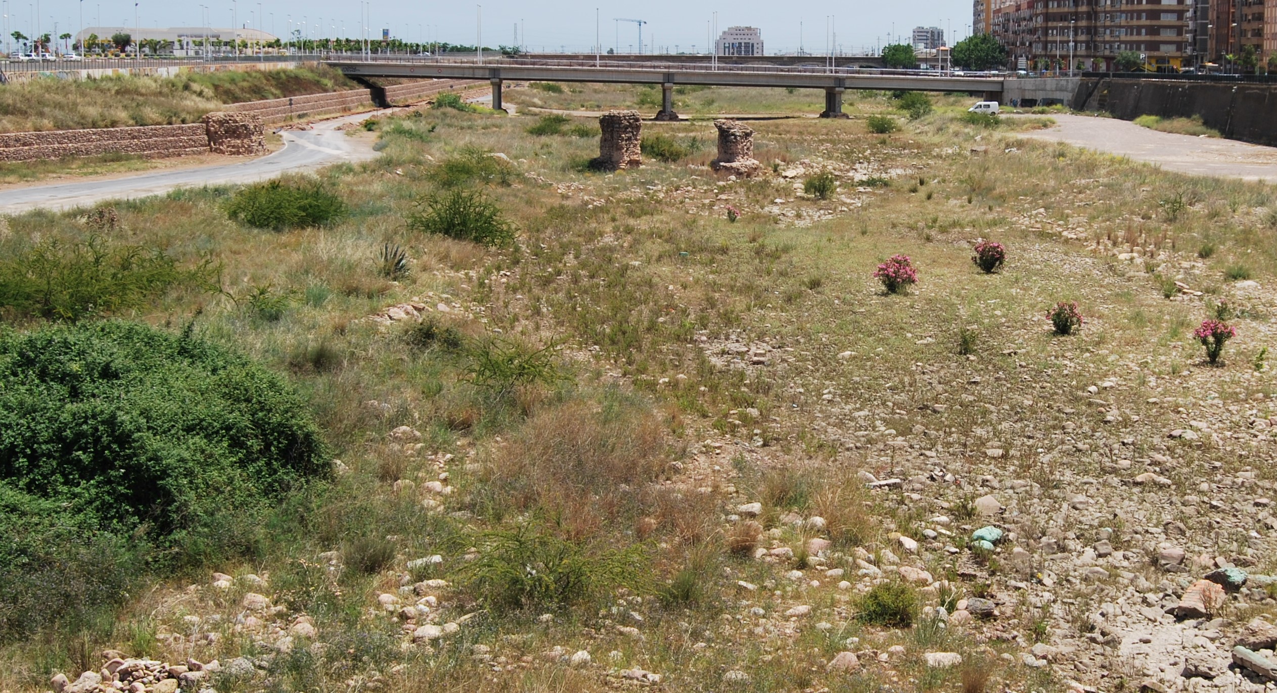 El Pleno Municipal formula una serie de propuestas al Plan Hidrológico de la Confederación Hidrográfica del Júcar