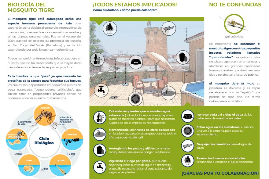 Imagen sin texto alternativo.