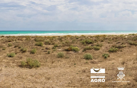 Acció Ecologista-Agró ofrece actividades en la playa de Corinto y en la Casa Penya este fin de semana 