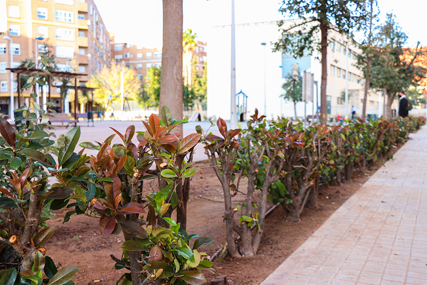 El concejal de la SAG, Roberto Rovira, visita los trabajos de jardinería realizados en la plaza Manuel Azaña de Puerto de Sagunto