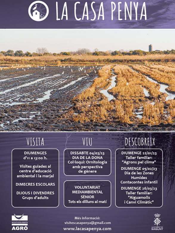 Invierno de naturaleza y marjal en La Casa Penya