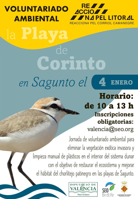 Cartel de la actividad