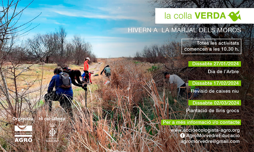 La Colla Verda celebra els 40 anys d'AE-Agró defensant la Marjal dels Moros