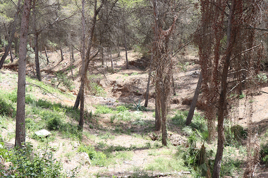El Ayuntamiento de Sagunto solicita a la Conselleria de Justicia e Interior una unidad de bomberos forestales para los meses de verano