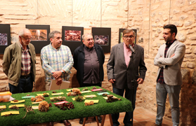 La muestra fotográfica y distintas especies de setas ya están expuestas en la Casa de Cultura Capellà Pallarés hasta mañana