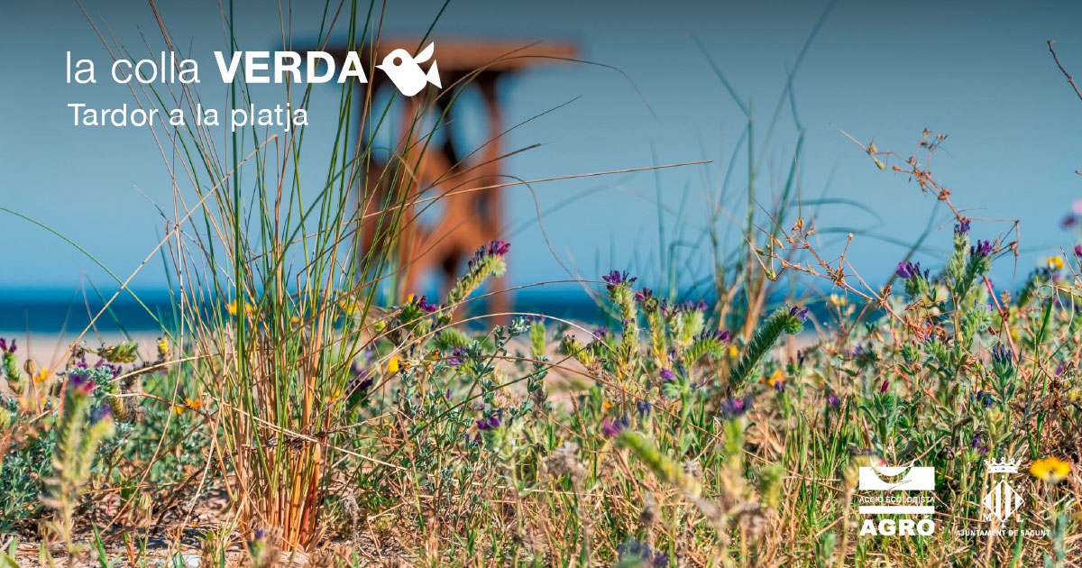 Otoño en la playa con la Colla Verda