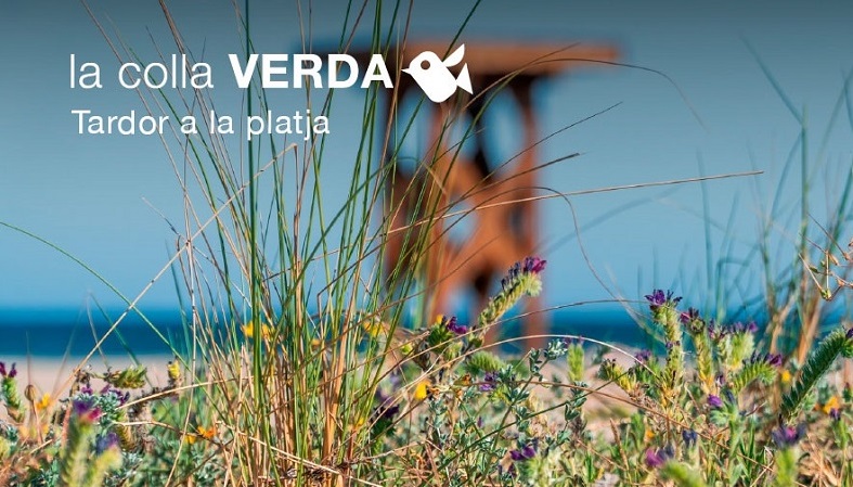 La Colla Verda invita a hacer una plantación dunar en la playa de Almardà