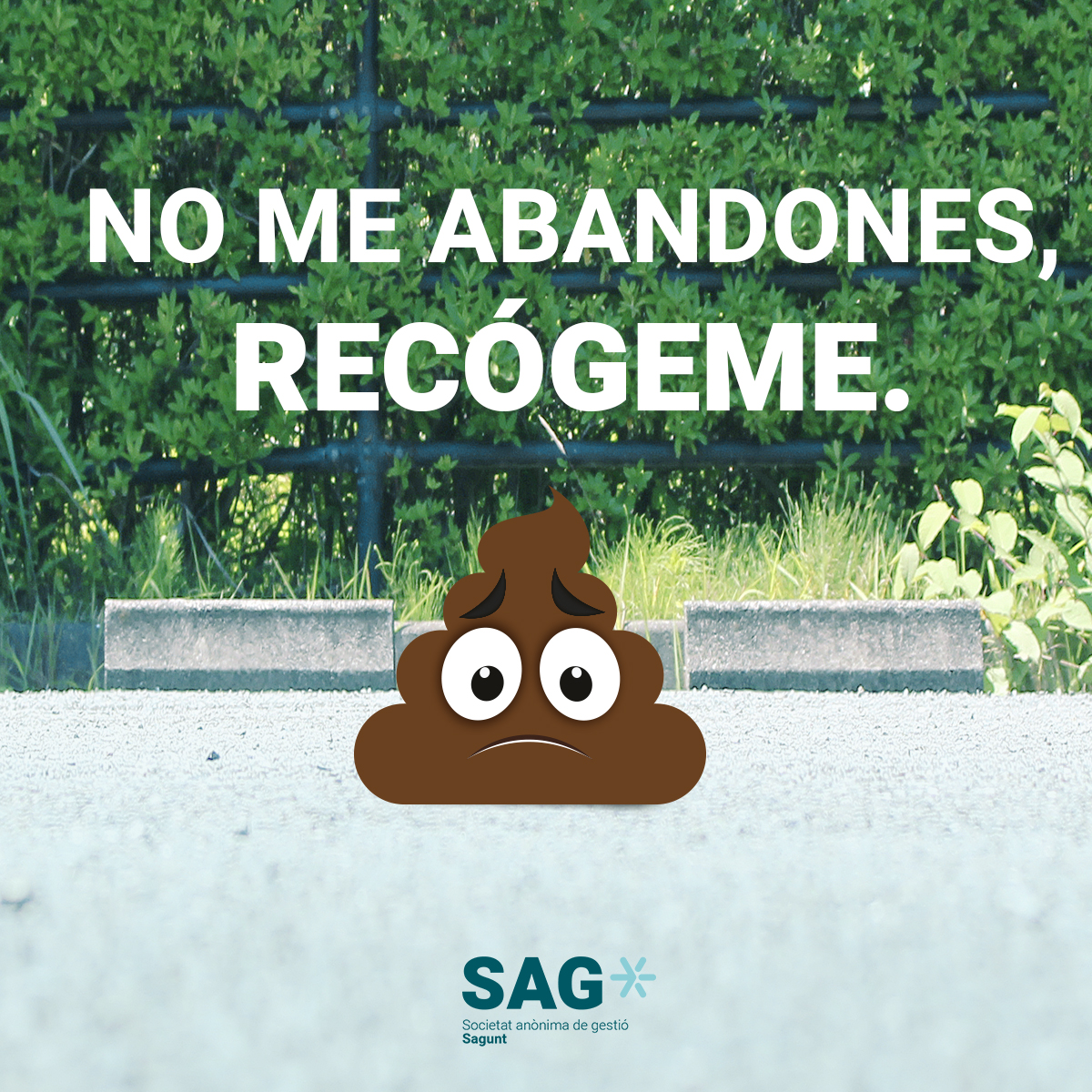 La SAG presenta una nueva campaña de concienciación sobre la recogida de residuos caninos con el lema 'No me abandones, recógeme'