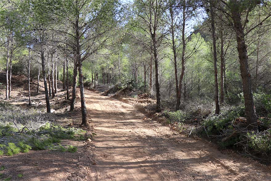 La Concejalía de Medio Ambiente está ejecutando un cortafuegos en la zona de montaña El Espartal