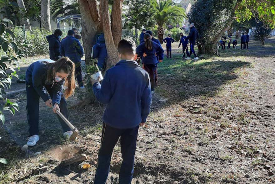 Los colegios de Sagunto celebran de nuevo el Día Escolar del Árbol
