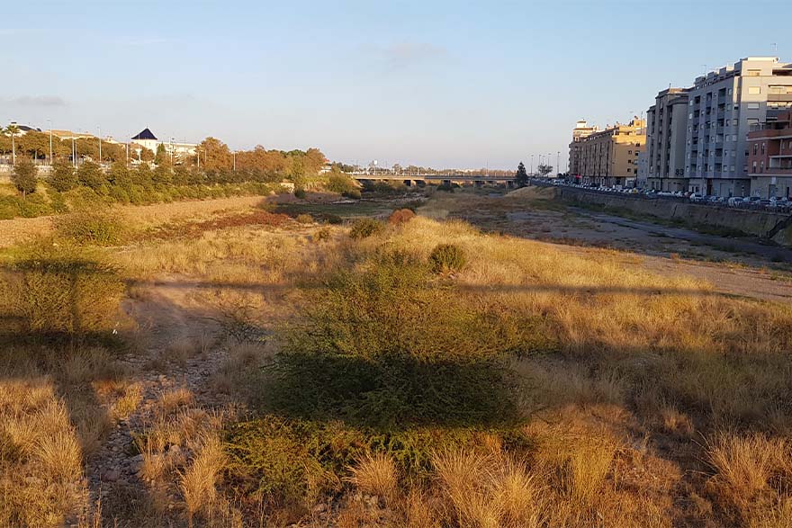 La Junta de Gobierno del Ayuntamiento de Sagunto ha aprobado el proyecto para la mejora ambiental del cauce del río Palancia a su paso por el núcleo urbano