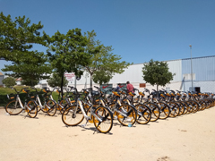 El departamento de Movilidad Urbana trabaja en una experiencia piloto de bicicletas de alquiler sin estaciones