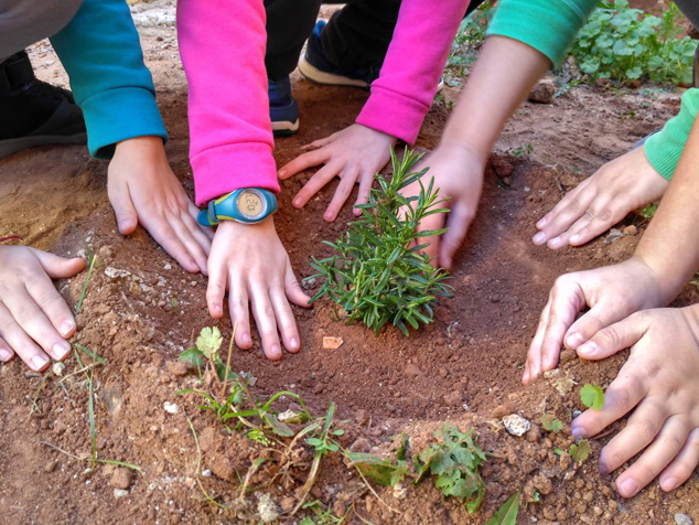 Los colegios de Sagunto celebran el Día del Árbol Escolar