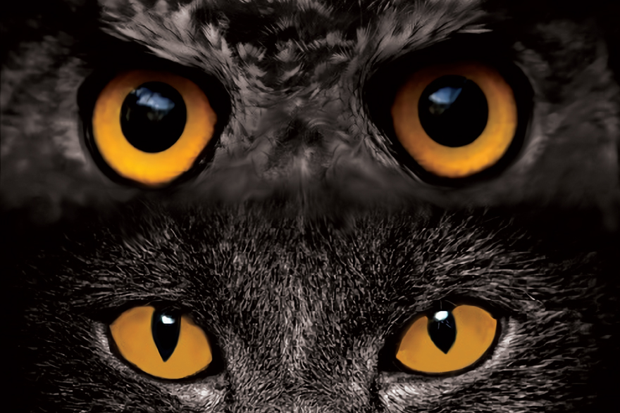 La Casa Municipal de Cultura acoge la obra de teatro ‘La gata y el búho’ el viernes 23 de octubre