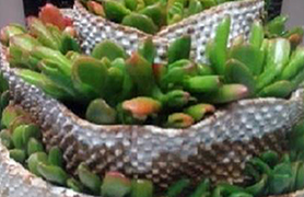 La Casa de Cultura acogerá la exposición ¡Ven a mi patio! a partir del miércoles