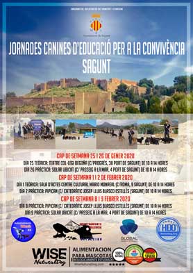Sagunto continúa este fin de semana con las Jornadas Caninas de Educación para la Convivencia