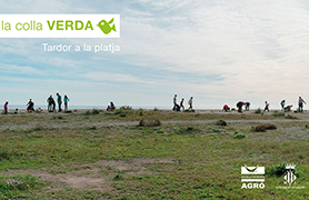 La Colla Verda programa tres plantaciones de flora de duna para este otoño