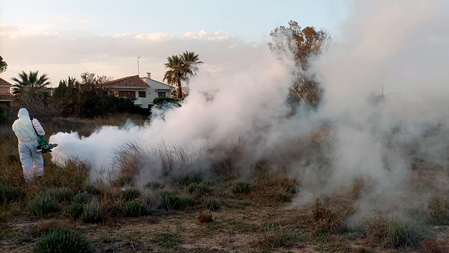 L'Ajuntament de Sagunt intensifica el sanejament i el control de plagues davant l'arribada de la calor